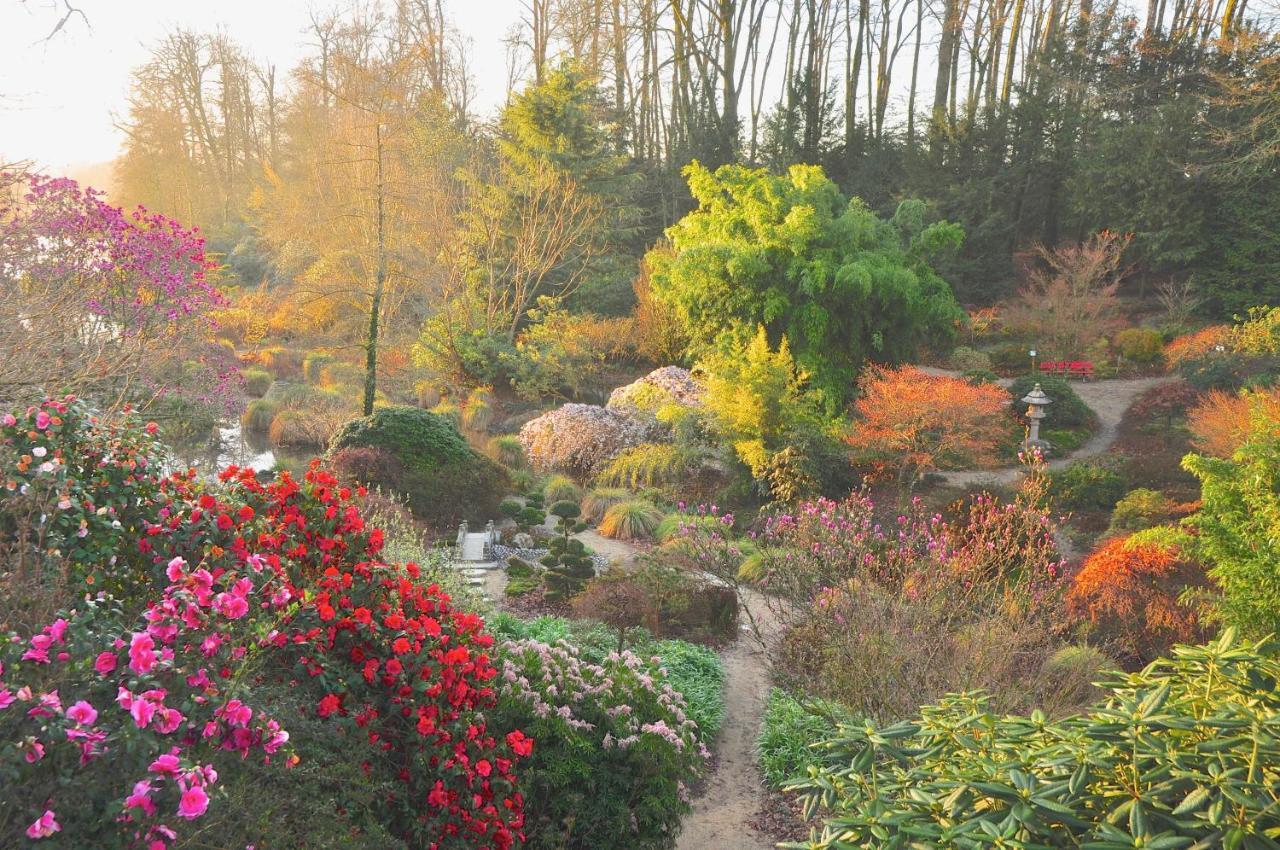 Chateau De La Foltiere Bed & Breakfast Le Chatellier  Luaran gambar